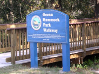 Ocean Hammock Park Walkway