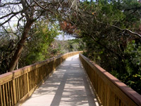 Hammock Park Boardwalk