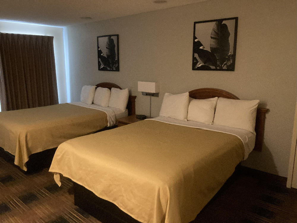 Welcome To St Augustine Island Inn - Guest Room